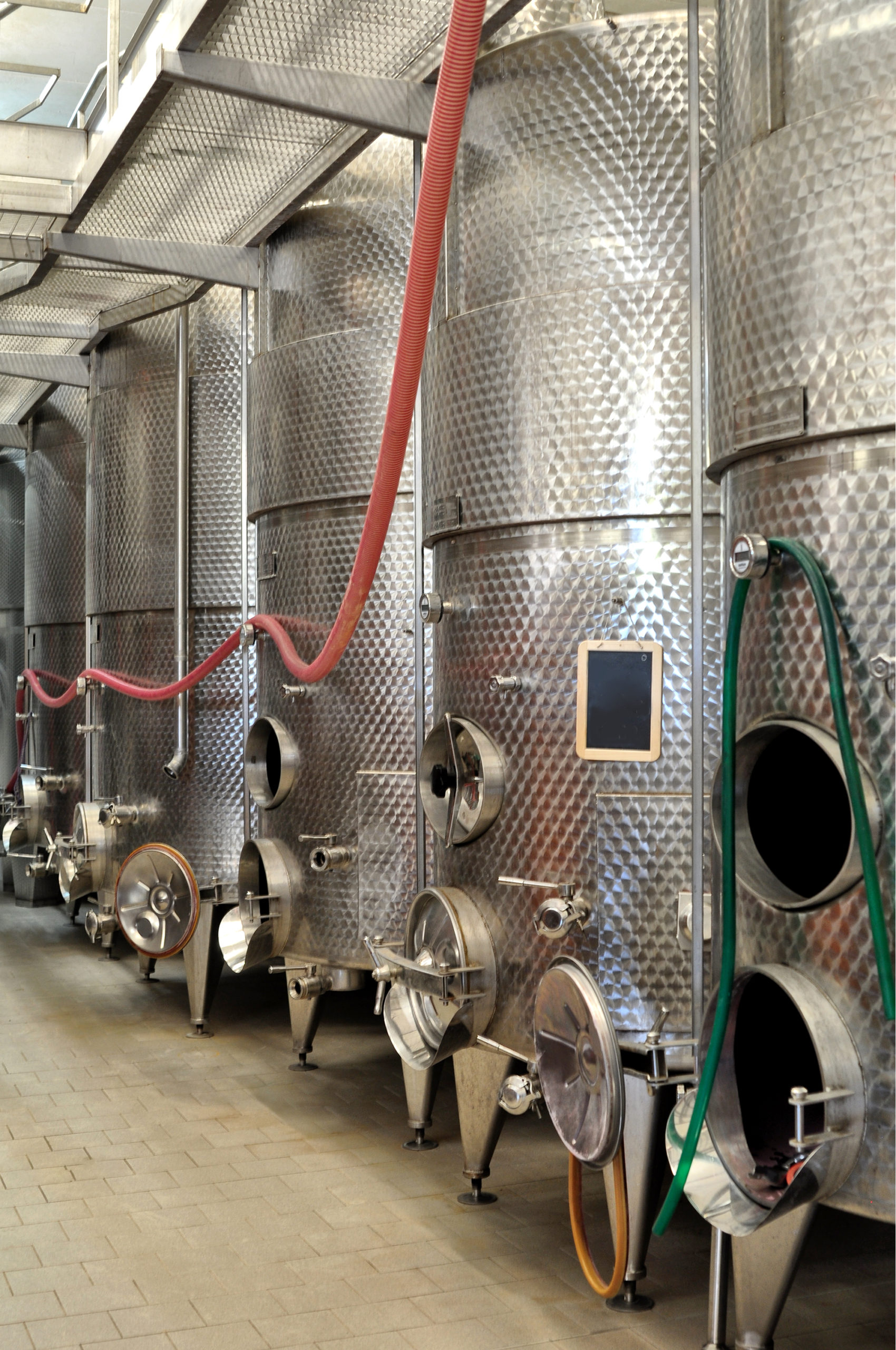 Vinification
